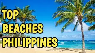 Top 10 Breathtaking Islands & Beaches in the Philippines