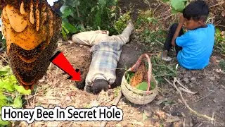 Amazing Hunting Big Wild Honey Bee In Underground Hole And Grill Eating Delicious