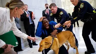 Karen Calls 911 on Disabled Teen for Using Service Dog at Courthouse &mdash; Judge Orders Karen&rsquo;s Arrest