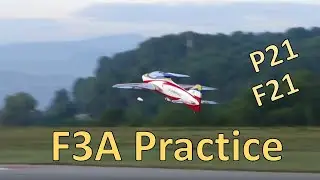 F3A Practice with Friends