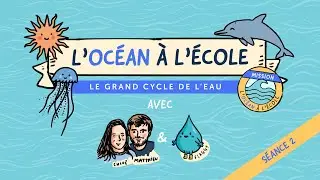 🌊 Séance 2 - Kit pédagogique l'Océan à l'École