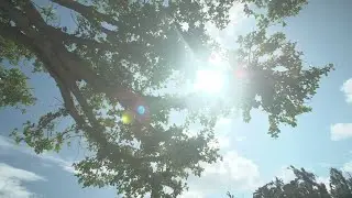 Discover THE BUSENA TERRACE Banyan Village｜【公式】ザ・ブセナテラス　バニァンビレッジ