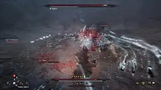 NG+ boss fight : Bringkus