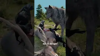 how food chain works #shortvideo #viral #facts #aishorts #factiai #ai #science