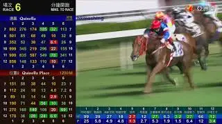 2011 The Hong Kong Golf Club Centenary Cup - The Wand (點石成金) - 韋達