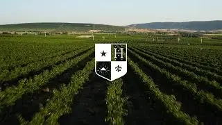 Hedges Family Estate on Red Mountain - Washington State Wine