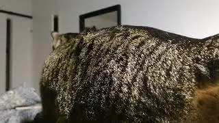 being vigilant
