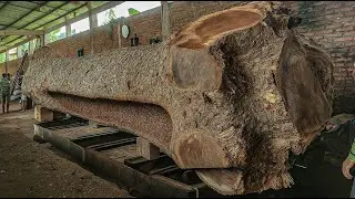 This Trembesi Log Hid Something Unbelievable ‼️ Sawmill Workers in Shock!