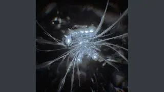 d&ouml;kkur &aacute;v&ouml;xtur, eitthva&eth; &thorn;r&uacute;ti&eth; sem gaf fr&aacute; s&eacute;r ilm og fyrirheit, lofor&eth; um l&iacute;f en...