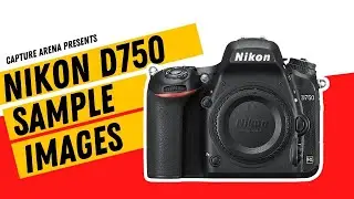 Nikon D750 (4K) Sample Images with Camera Settings (2023)