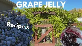 Winter Prep: Making & Storing our Grape Jelly