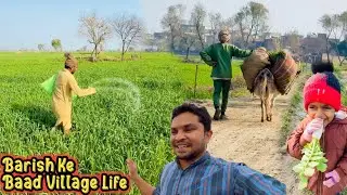 Barish Ke Baad Gaon Ki Zindagi | Subah Ka Manzar | Village Vlog 
