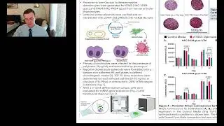 Sean Kennedy ORS2022 Development of Human Reporter Chondrocytes for SOX9 and PRG4
