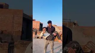 appaa chppaa dappaa 🤣#comedy #trend #shortvideos #comedyvideo