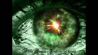 White Poplar - Fighting for breath