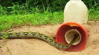 Build a Snake Trap with Basic Equipment &ndash; Quick and Easy Method!