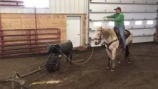 3/2018 hot heel slick horns