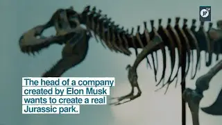 The head of a company created by Elon Musk wants to create a real Jurassic park.