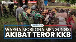Warga Moskona Utara Mengungsi Akibat Serangan KKB