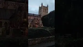 Minster's bells and organ of Wimborne