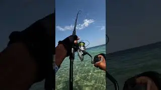 Shore Jigging #fishing #fishingdaily #fishinglifestyle #travel #relax