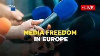 MEPs to push for more protection of journalists and media freedom
