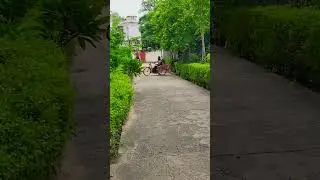 Battery Tricycle for Handicapped Persons ♿️