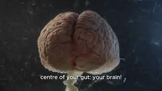 Fix Your Brain, Lose Weight With Serolean #serolean #loseweight #weightloss