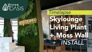 See a Living Plant Wall installation at 405 Colorado Austin Texas -Green Oasis