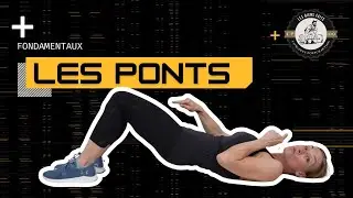 Les Ponts &ndash; Fondamentaux : Pont neutre & pont articul&eacute; 🧠✨