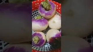 शलगम #slgaming #amazingfacts #food #vegetables #healthylifestyle #healthtime hai