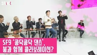 [IDOL LEAGUE] SF9 '콩닥콩닥 댄스', 붐과 함께 콜라보레이션?