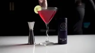Bariantte Cocktail Measuring Jigger for Bartending Stainless Steel Double Jigger Liquor Shot