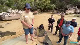 Z Special Unit