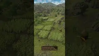 Dawn of Man, an epic game!  #dawnofman #gaming #dawnofmangameplay #lifesimulation #gameplay