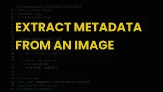 Extract metadata from an image