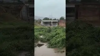 Giddalur Sagileru Vagu 2025 #giddalur #sagileru #prakasam #giddaluru #waterflow #heavyrain