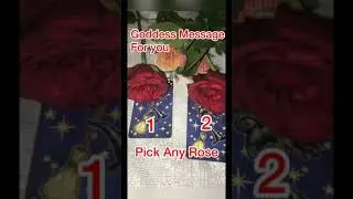 Message from Goddess This Navratri Pick A Card Tarot Reading General Timeless Energy #tarot #shorts