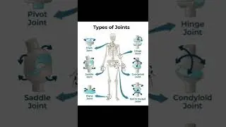 #neet2024#neetmotivation#neetpreparation#neet#neetjee#biology