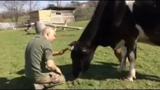 SAKINE AT THE 269LIFE LIBERATION ANIMALE SANCTUARY - ANOTHER WORLD IS POSSIBLE