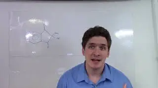 Ninhydrin Test for Primary Amino Acids