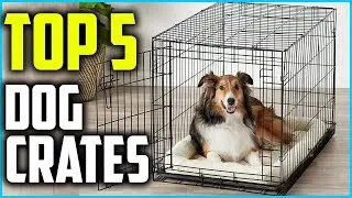 ✅ Top 5 Best Dog Crates of 2024