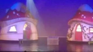 Klusshow 2017 'Elfje Van-zelfje'