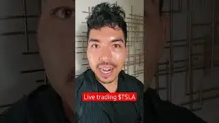 The $TSLA Short Squeeze
