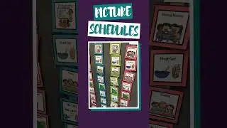 All the Visuals for an Autism Classroom
