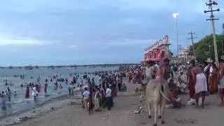 Rameswaram Morning View Agni Teertham