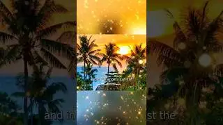 Whatever ☀️ Chill House Tropical Music #dj #chill #house #edm