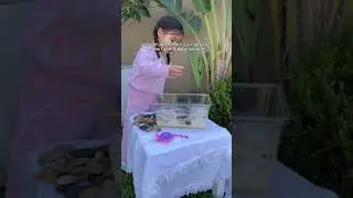 Let's Create A Home For Our Pet Turtle 🐢🏠