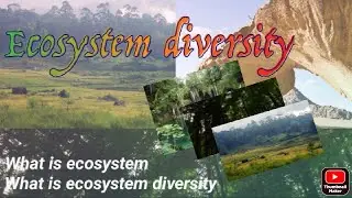 Ecosystem diversity | Nature World