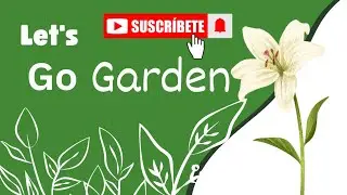 ​ Mere Garden Mein Kya Kya Hai? 🌻 | Garden Exploration Vlog